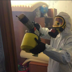 Уничтожение клопов в квартире. Басманный район